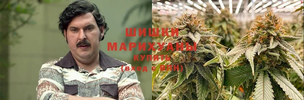 мдпв Инта